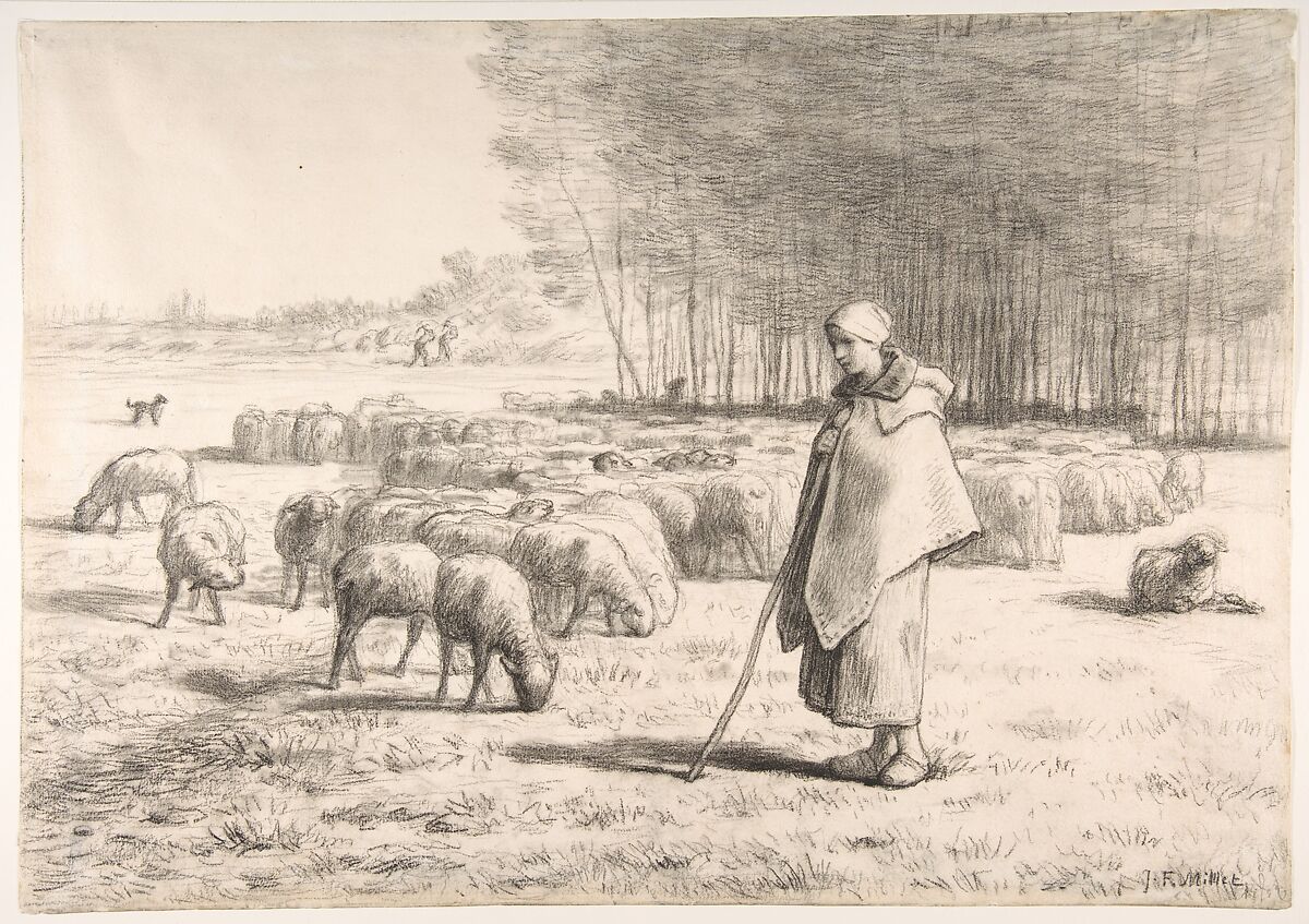 A Shepherdess with Her Flock, Jean-François Millet (French, Gruchy 1814–1875 Barbizon), Conté crayon with stumping on laid paper 