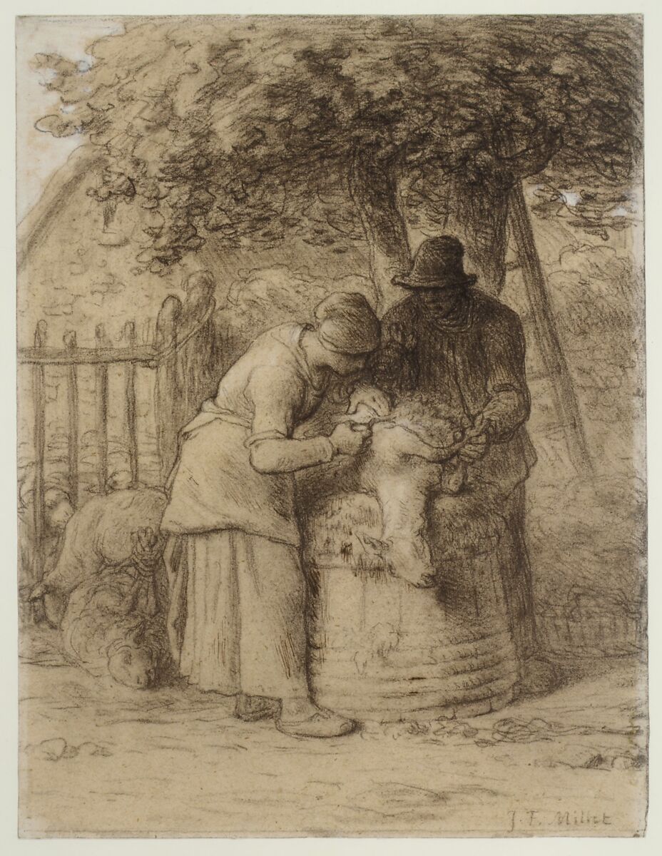 Sheepshearing Beneath a Tree, Jean-François Millet (French, Gruchy 1814–1875 Barbizon), Conté crayon with stumping, heightened with pen and brown ink and white gouache on wove paper