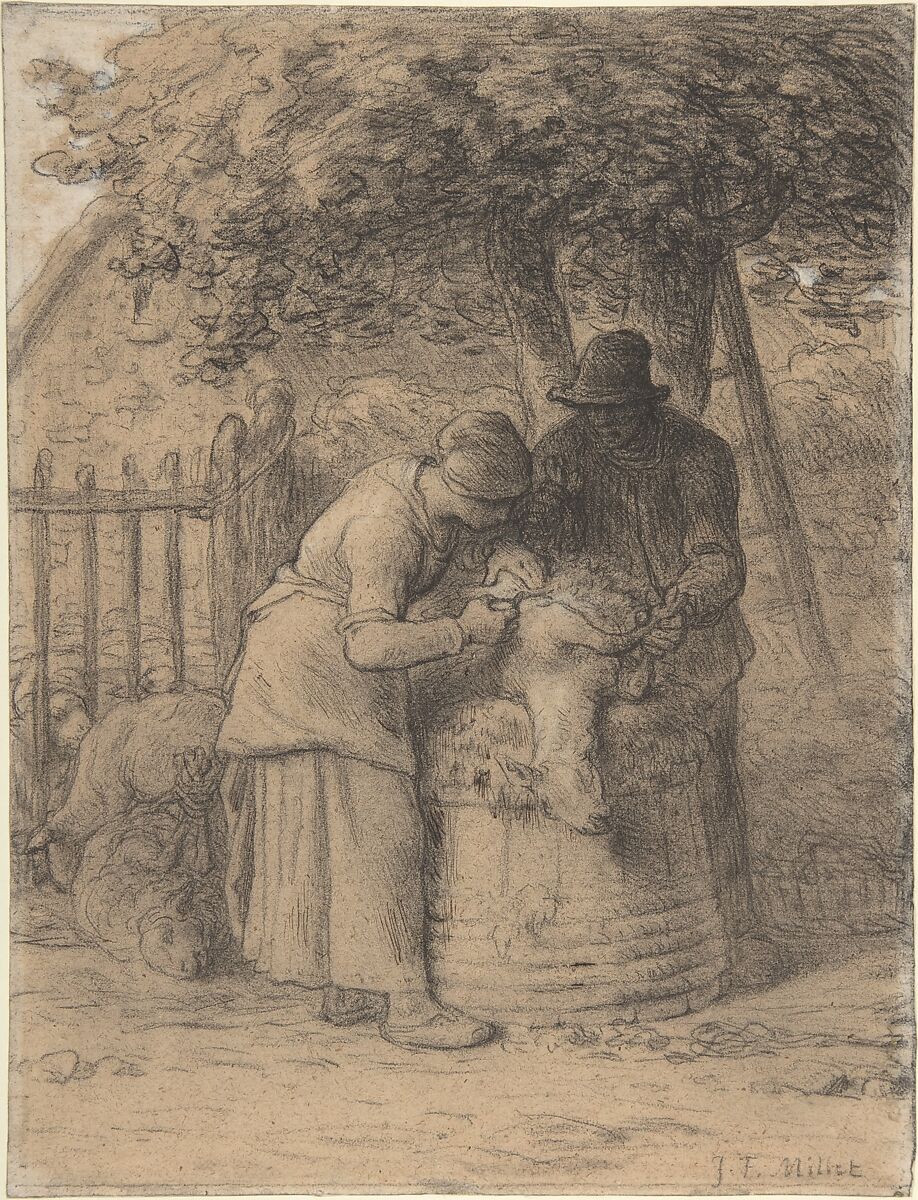 Sheepshearing Beneath a Tree, Jean-François Millet (French, Gruchy 1814–1875 Barbizon), Conté crayon with stumping, heightened with pen and brown ink and white gouache on wove paper 