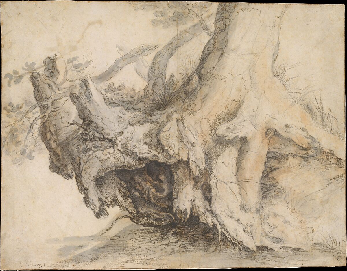 Study of a Tree, Roelandt Savery (Flemish, Kortrijk 1576–1639 Utrecht), Gray watercolor wash, a red chalk wash, charcoal dipped in oil, and graphite on off-white laid paper