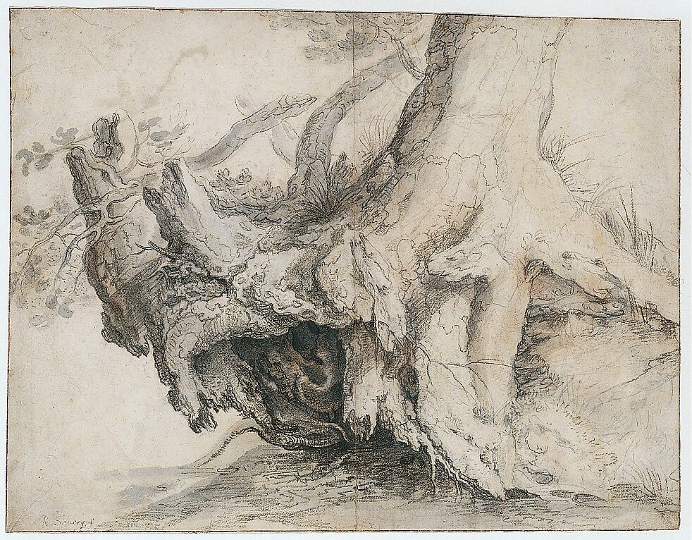 Study of a Tree, Roelandt Savery (Flemish, Kortrijk 1576–1639 Utrecht), Gray watercolor wash, a red chalk wash, charcoal dipped in oil, and graphite on off-white laid paper