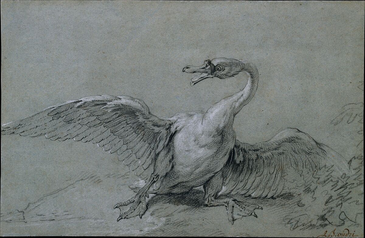 Angry Swan, Jean-Baptiste Oudry  French, Black and white chalk on blue paper