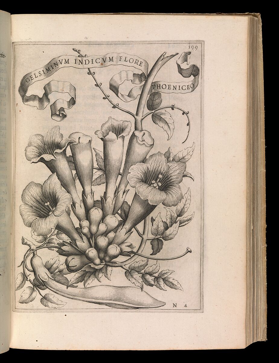 De Florum Cultura. Rome, 1633, Giovanni Battista Ferrari (Italian, Siena 1584–1655 Siena), Engraving, woodcut 