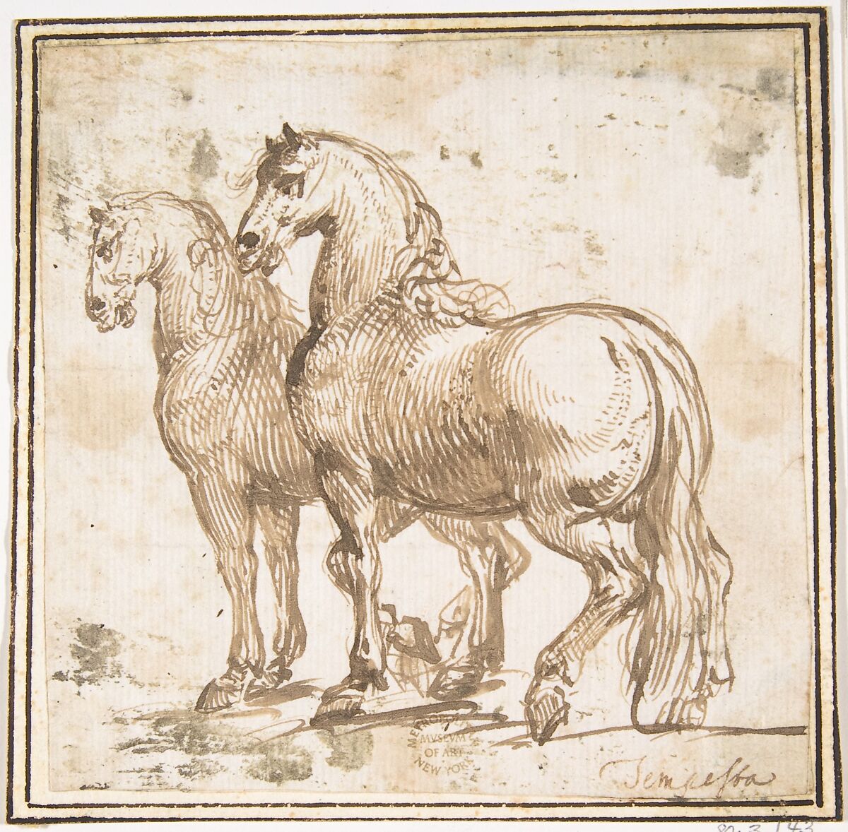 Two Horses, attributed to Francesco Allegrini (Italian, Cantiano (?) 1615/20–after 1679 Gubbio (?)), Pen and brown ink; framing lines in pen and brown ink on mount 