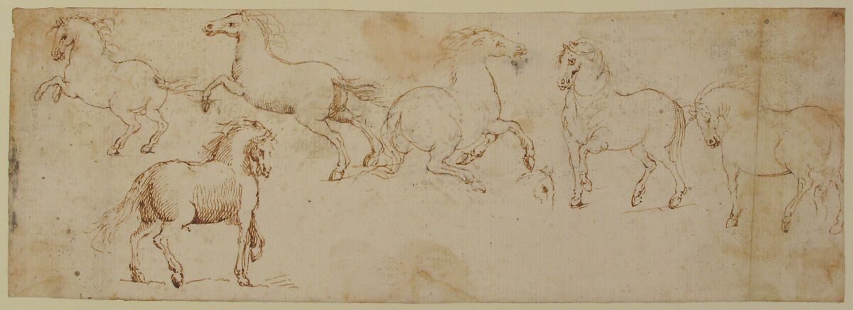 Horses, attributed to Francesco Allegrini (Italian, Cantiano (?) 1615/20–after 1679 Gubbio (?)), Pen and brown ink.  Framing lines in pen and brown ink on mount