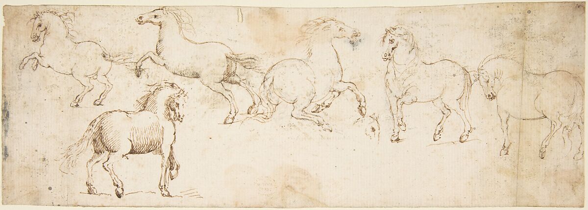 Horses, attributed to Francesco Allegrini (Italian, Cantiano (?) 1615/20–after 1679 Gubbio (?)), Pen and brown ink.  Framing lines in pen and brown ink on mount 