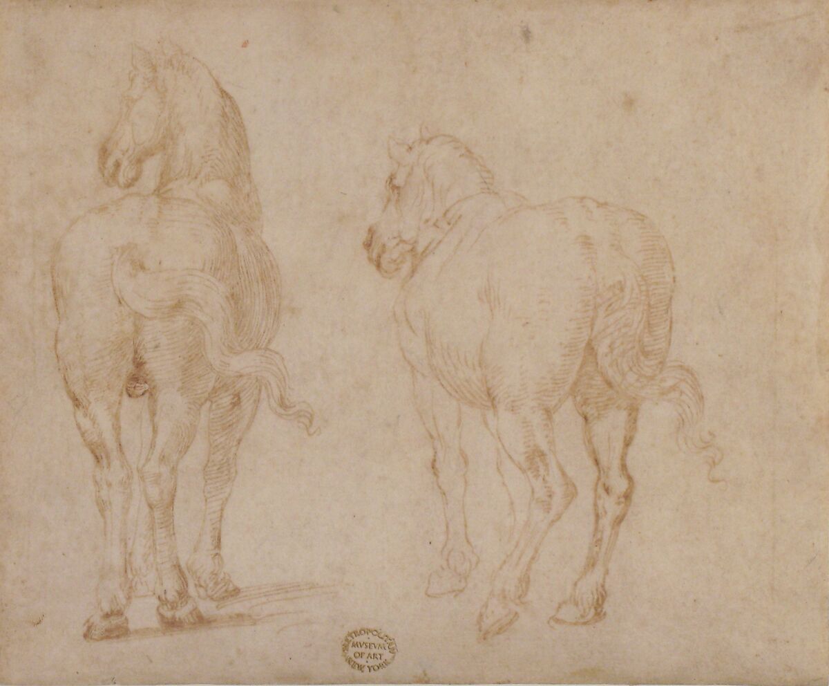 Horses, Parmigianino (Girolamo Francesco Maria Mazzola) (Italian, Parma 1503–1540 Casalmaggiore), Pen and brown ink; framing lines in pen and brown ink on mount