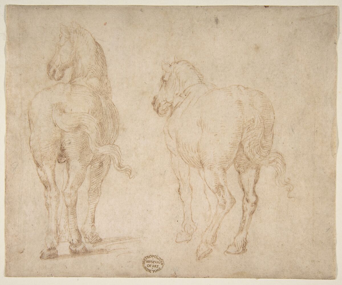 Horses, Parmigianino (Girolamo Francesco Maria Mazzola) (Italian, Parma 1503–1540 Casalmaggiore), Pen and brown ink; framing lines in pen and brown ink on mount 