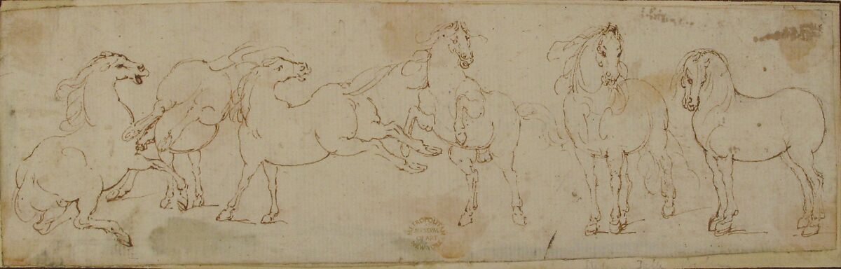 Six Horses, attributed to Francesco Allegrini (Italian, Cantiano (?) 1615/20–after 1679 Gubbio (?)), Pen and brown ink.  Framing lines in pen and brown ink on mount