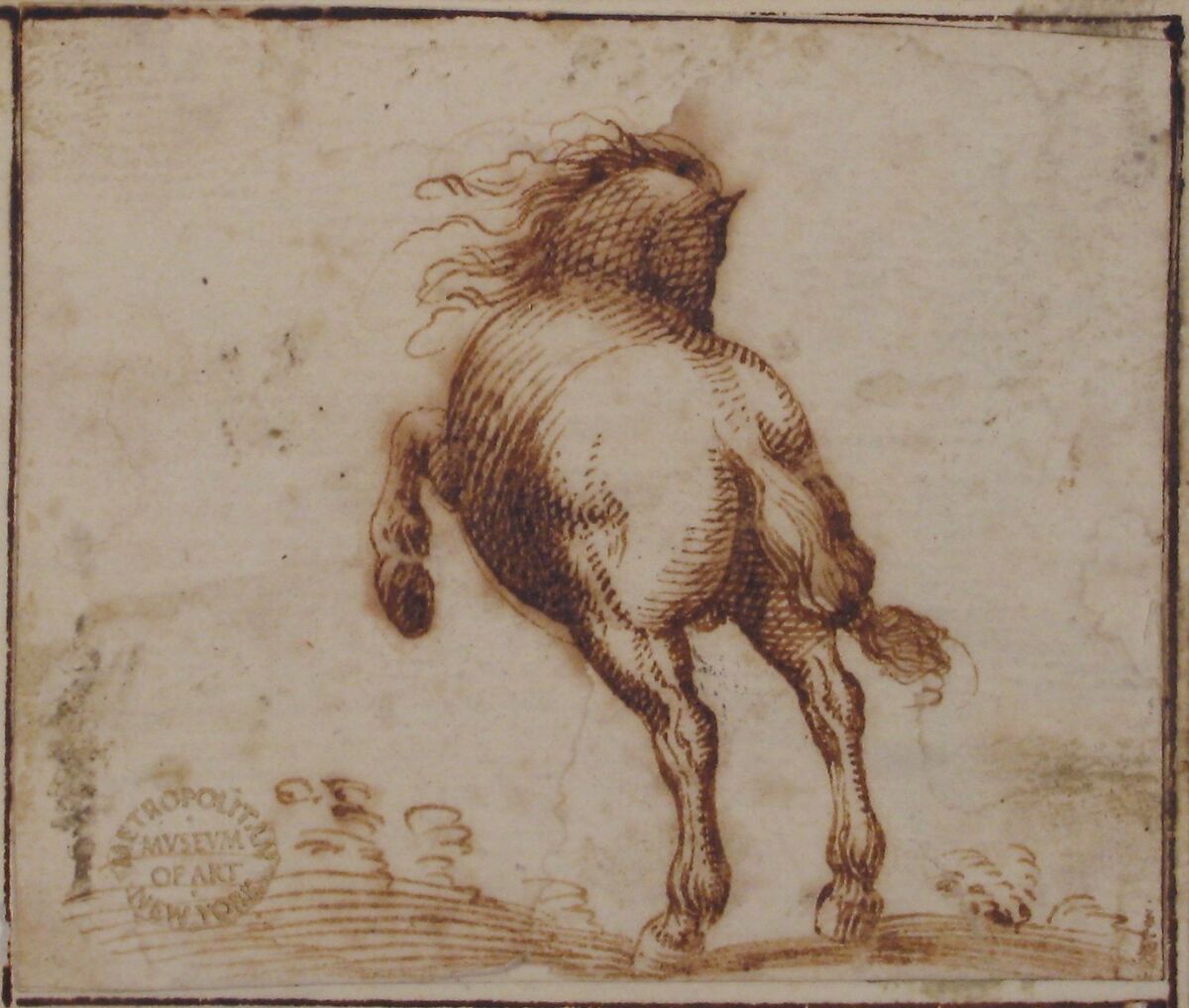 Horse, attributed to Francesco Allegrini (Italian, Cantiano (?) 1615/20–after 1679 Gubbio (?)), Pen and brown ink.  Framing lines in pen and brown ink on mount