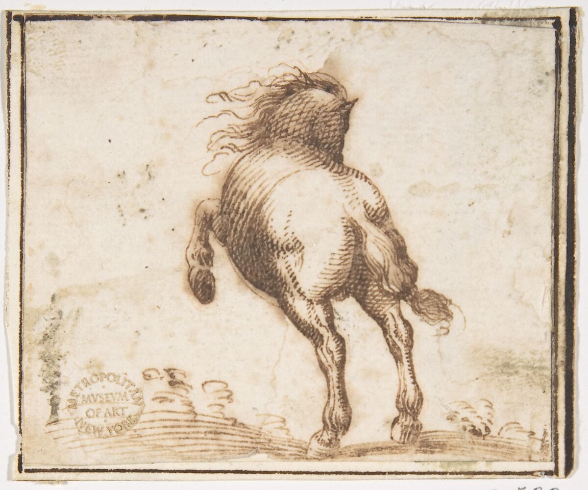 Horse, attributed to Francesco Allegrini (Italian, Cantiano (?) 1615/20–after 1679 Gubbio (?)), Pen and brown ink.  Framing lines in pen and brown ink on mount 