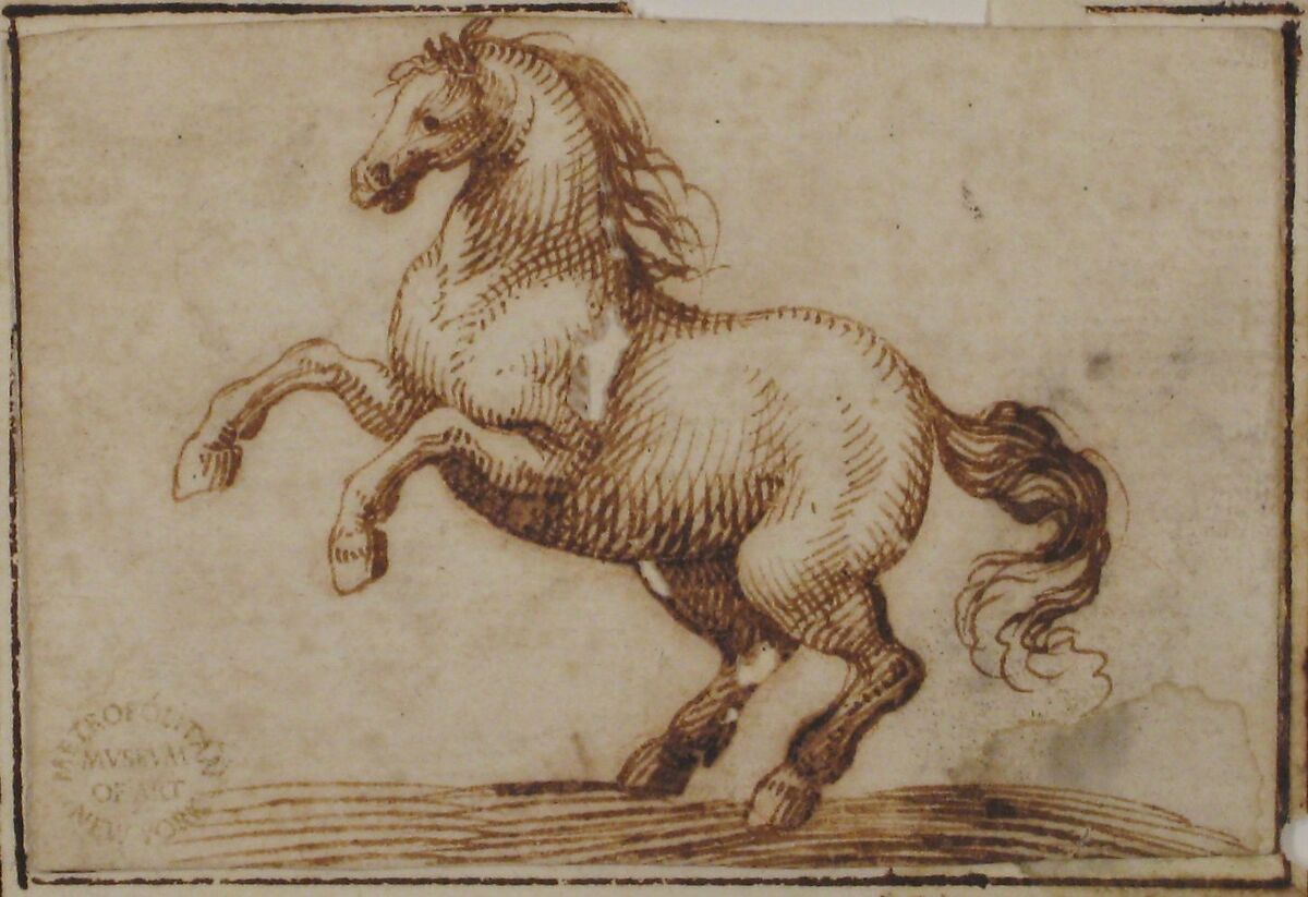 Horse, attributed to Francesco Allegrini (Italian, Cantiano (?) 1615/20–after 1679 Gubbio (?)), Pen and brown ink.  Framing lines in pen and brown ink on mount