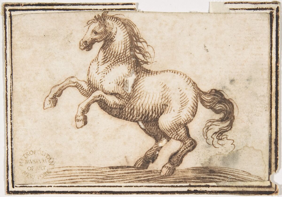 Horse, attributed to Francesco Allegrini (Italian, Cantiano (?) 1615/20–after 1679 Gubbio (?)), Pen and brown ink.  Framing lines in pen and brown ink on mount 