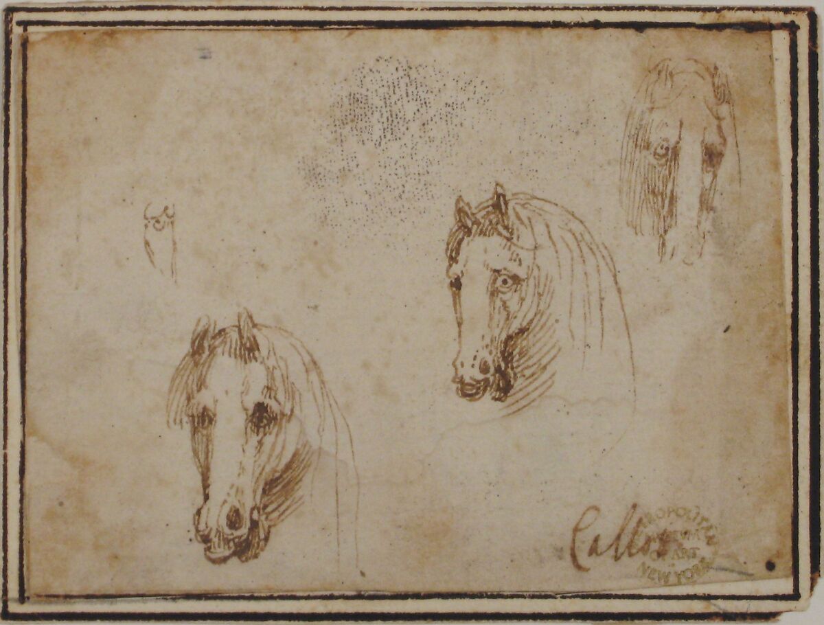 Horses' Heads, attributed to Francesco Allegrini (Italian, Cantiano (?) 1615/20–after 1679 Gubbio (?)), Pen and brown ink.  Framing lines in pen and brown ink on mount