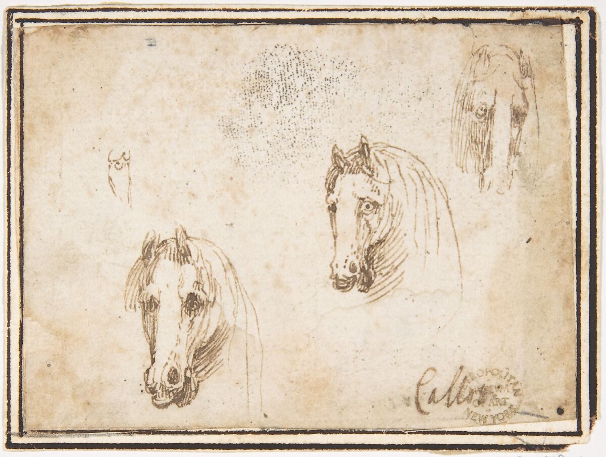 Horses' Heads, attributed to Francesco Allegrini (Italian, Cantiano (?) 1615/20–after 1679 Gubbio (?)), Pen and brown ink.  Framing lines in pen and brown ink on mount 