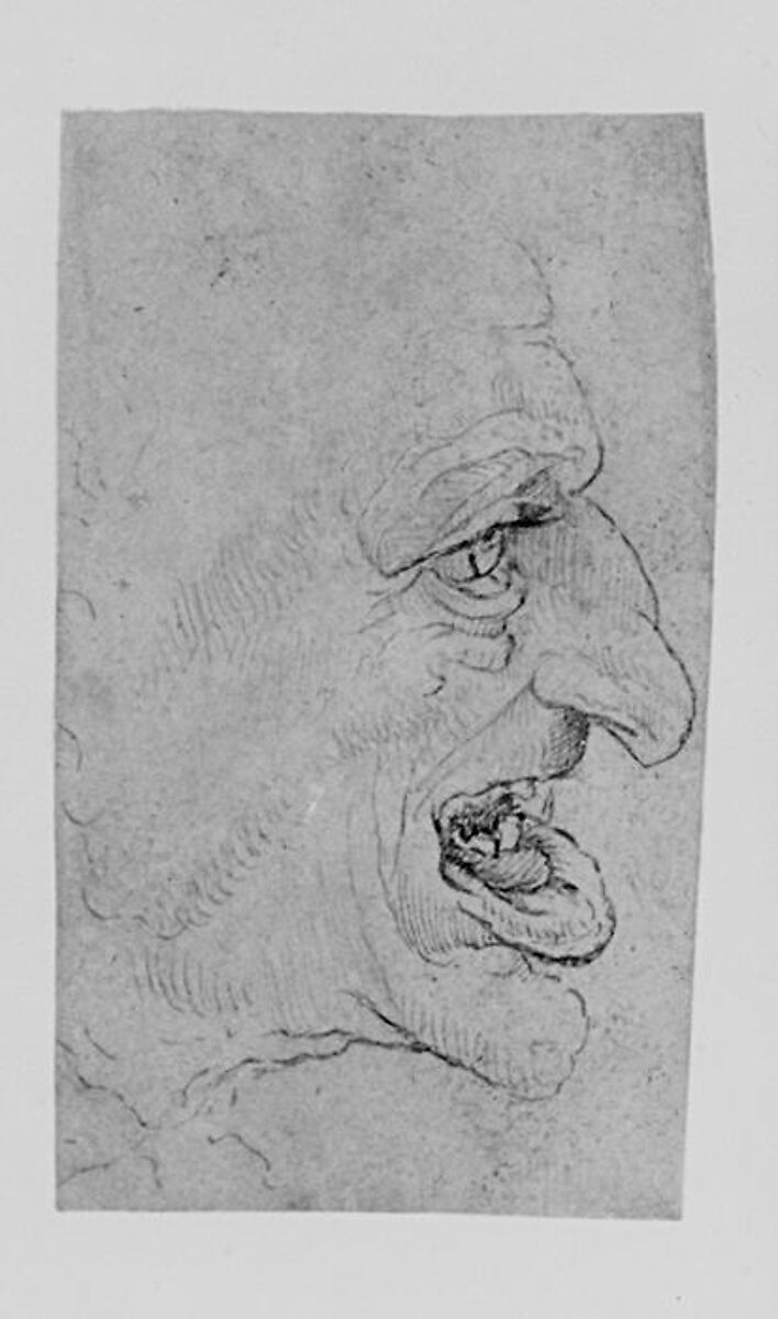 The Head of a Grotesque Man in Profile Facing Right, After Leonardo da Vinci (Italian, Vinci 1452–1519 Amboise), Pen and brown ink, on off-white paper (now darkened)