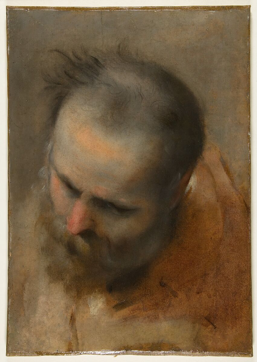 Head of a Bearded Man Looking to Lower Left (Nicodemus), Federico Barocci (Italian, Urbino ca. 1535–1612 Urbino), Brush and oil paint on paper 