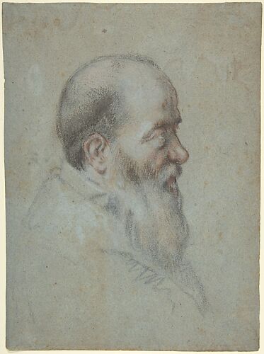 Bust of a Bearded Old Man, Profile to Right