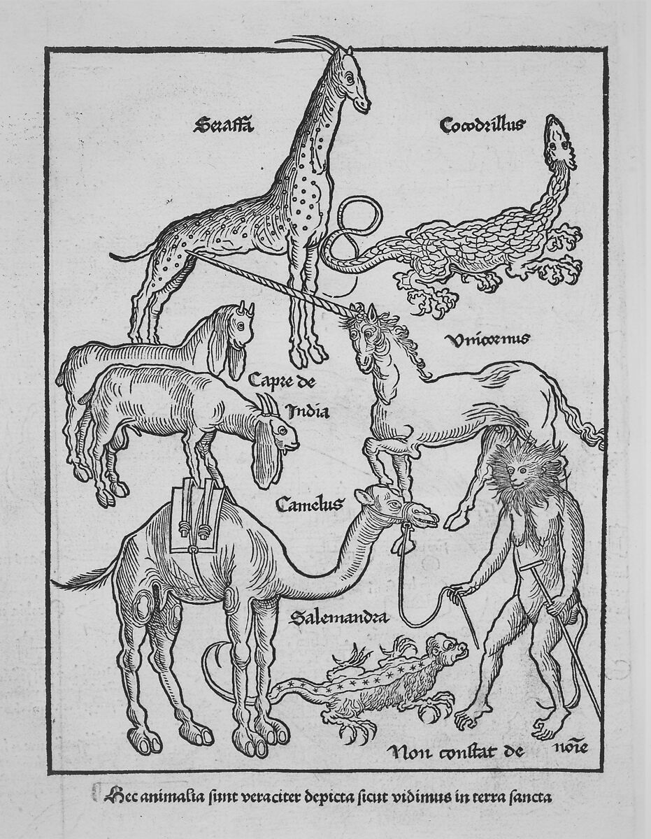 Peregrinatio in terram sanctam., Bernhard von Breydenbach (German, Mainz 1440?–?1497 Mainz), Woodcuts