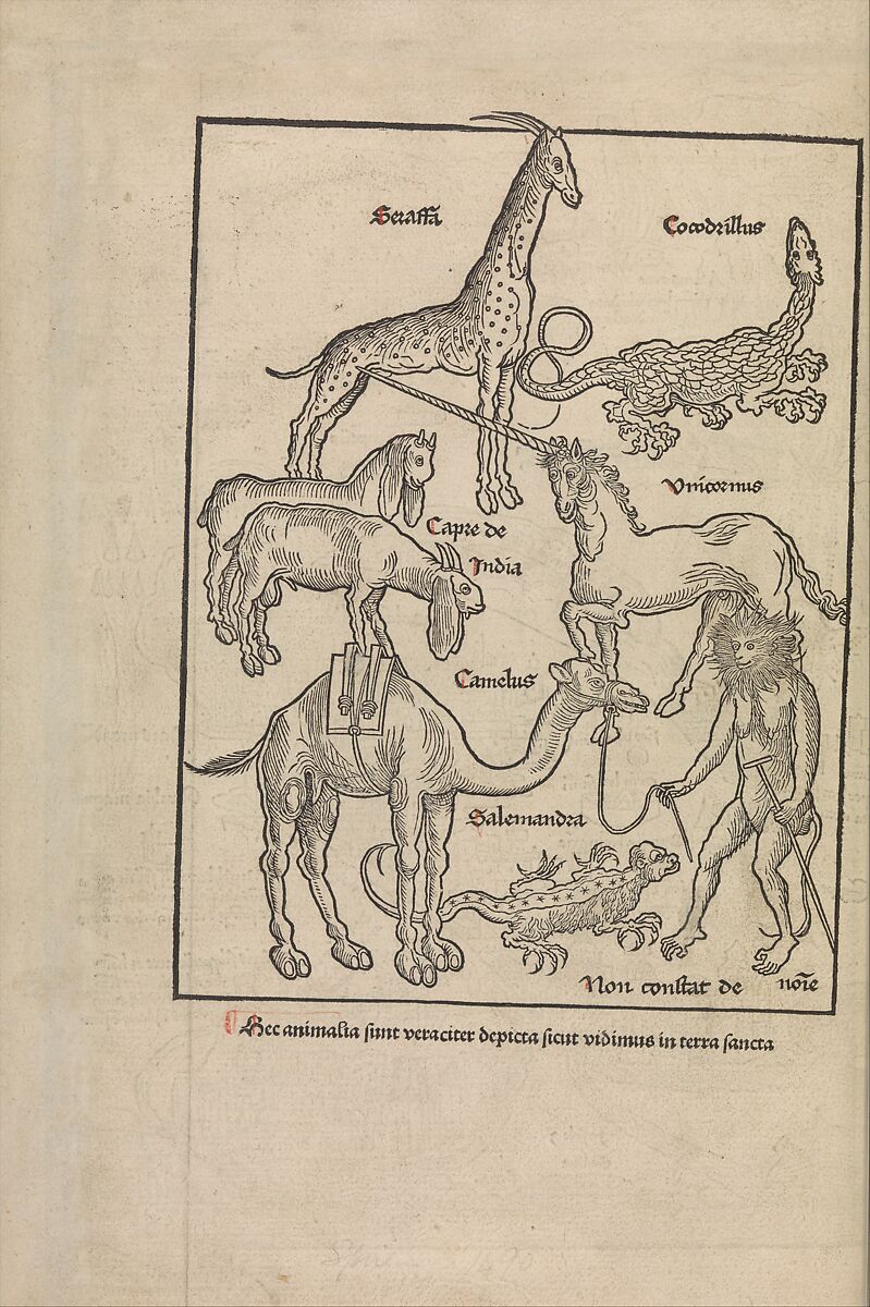 Peregrinatio in terram sanctam., Bernhard von Breydenbach (German, Mainz 1440?–?1497 Mainz), Woodcuts