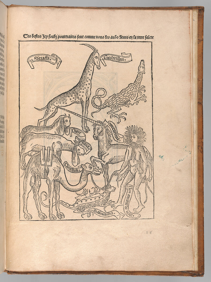 La Peregrination en Terre Sainte  (Pilgrimage to the Holy Land), Translated by Nicolas Le Huen (active 15th century), Engraving, hand colored