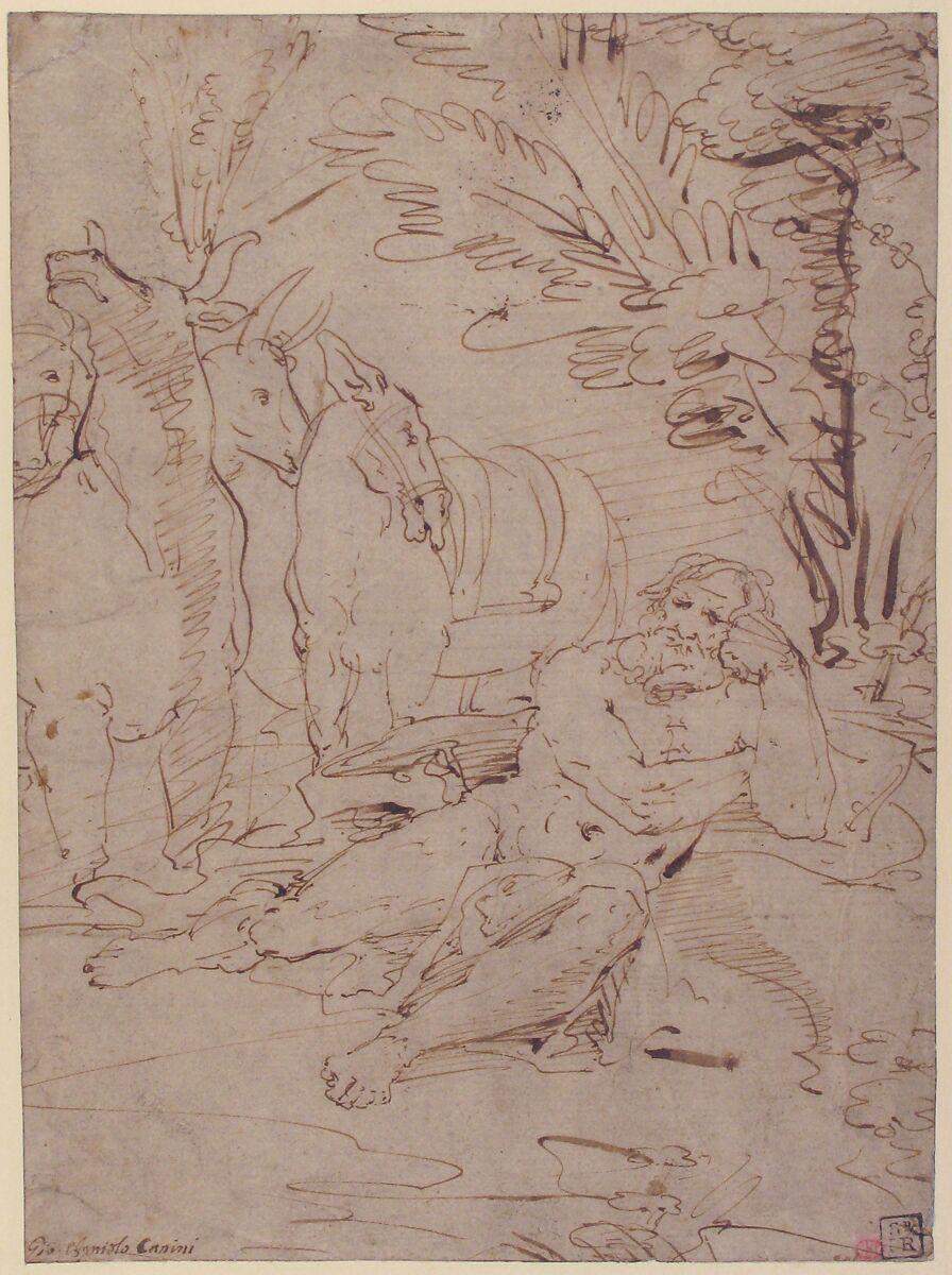 Unidentified Subject:  Reclining Nude Male Figure and Cattle, Giovanni Angelo Canini (Italian, Rome ca. 1609-17–1666 Rome), Pen and brown ink (recto); illegible black chalk notations (verso)