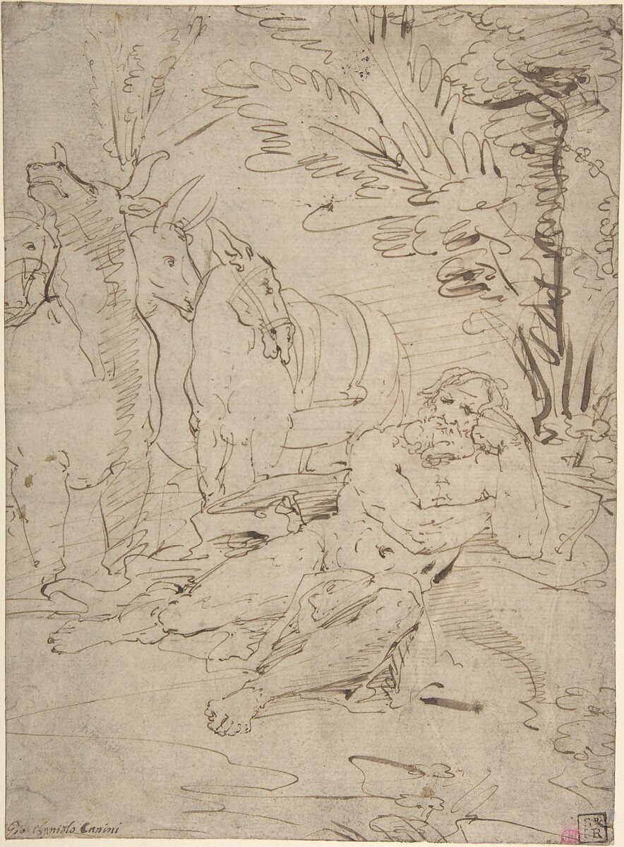 Unidentified Subject:  Reclining Nude Male Figure and Cattle, Giovanni Angelo Canini (Italian, Rome ca. 1609-17–1666 Rome), Pen and brown ink (recto); illegible black chalk notations (verso) 