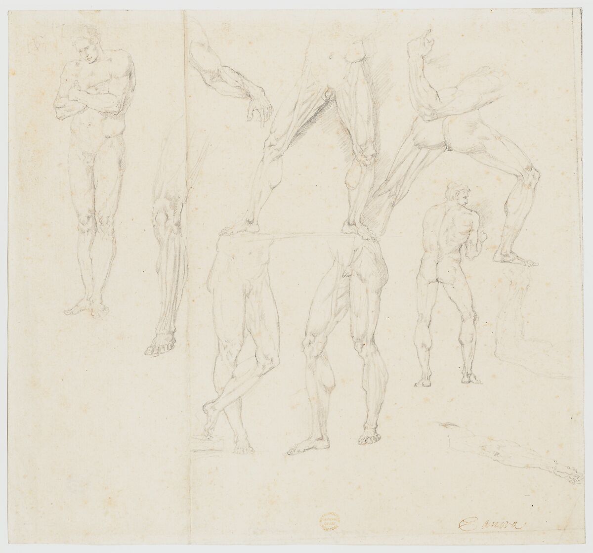 Nude Study, Anonymous, Italian, early 19th century, Pen and brown ink