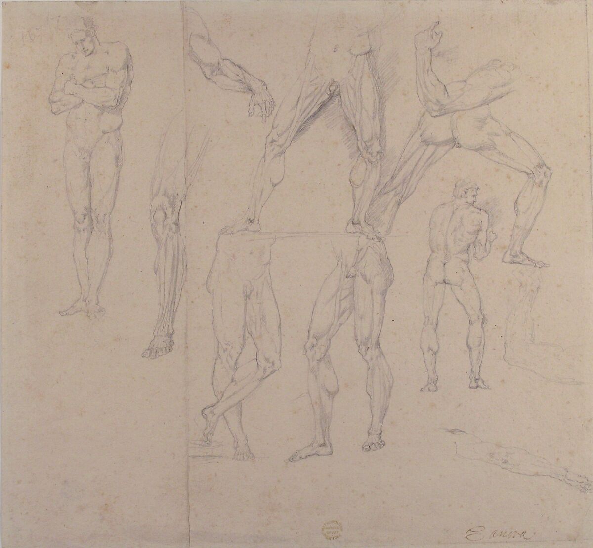 Nude Study, Anonymous, Italian, early 19th century, Pen and brown ink