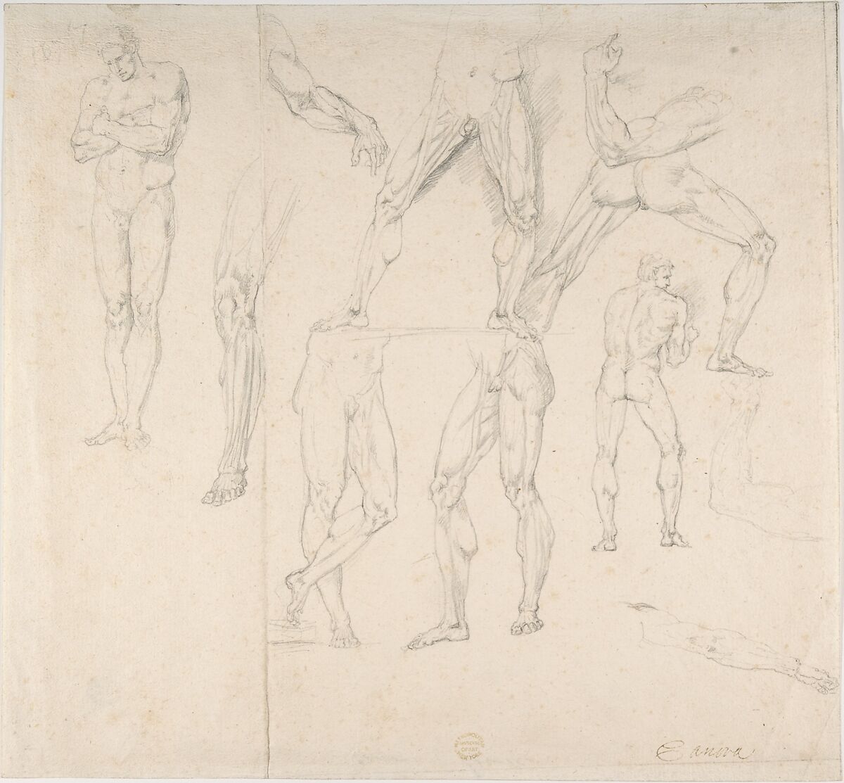 Nude Study, Anonymous, Italian, early 19th century, Pen and brown ink 