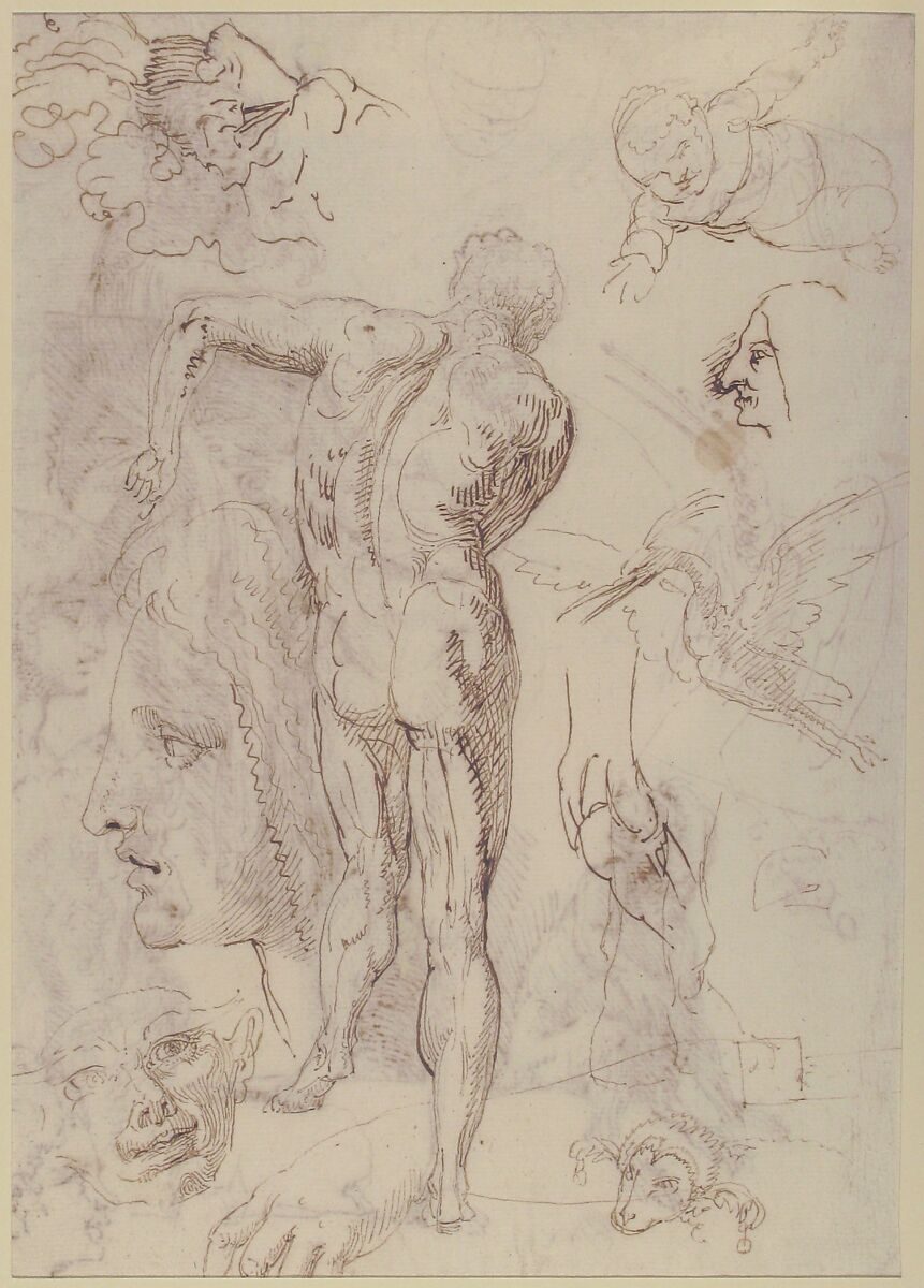 Studies and Sketches for Figures: Standing Male Nude in Frontal View, Male Heads, Seated Monkey, and a Long-Beaked Bird (a Stork?) (recto); Figure Studies:  Back View of Standing Male and Female Heads, a Flying Long-Beaked Bird, etc. (verso), Agostino Carracci (Italian, Bologna 1557–1602 Parma), Pen and brown ink, over traces of leadpoint or soft black chalk (recto and verso)