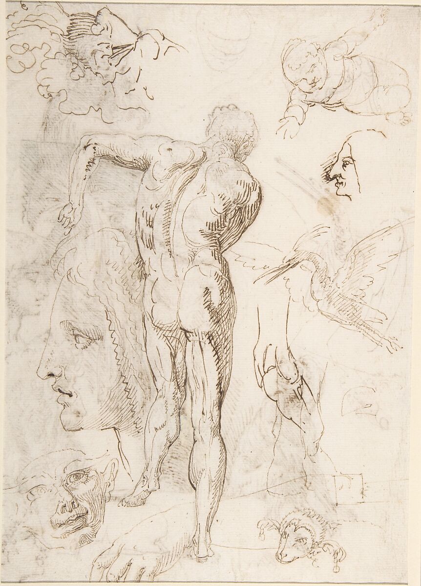 Studies and Sketches for Figures: Standing Male Nude in Frontal View, Male Heads, Seated Monkey, and a Long-Beaked Bird (a Stork?) (recto); Figure Studies:  Back View of Standing Male and Female Heads, a Flying Long-Beaked Bird, etc. (verso), Agostino Carracci (Italian, Bologna 1557–1602 Parma), Pen and brown ink, over traces of leadpoint or soft black chalk (recto and verso)
