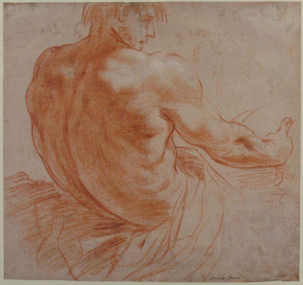 Seated Youth Facing Right, Seen from the Back, Annibale Carracci (Italian, Bologna 1560–1609 Rome), Red chalk with some white chalk highlights (recto); scribbles in red chalk (verso)