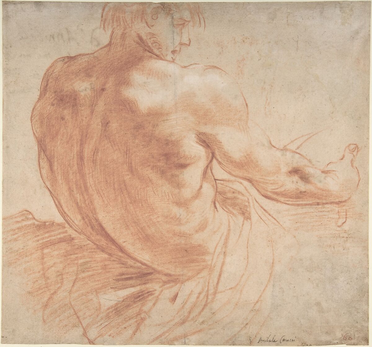 Seated Youth Facing Right, Seen from the Back, Annibale Carracci (Italian, Bologna 1560–1609 Rome), Red chalk with some white chalk highlights (recto); scribbles in red chalk (verso) 