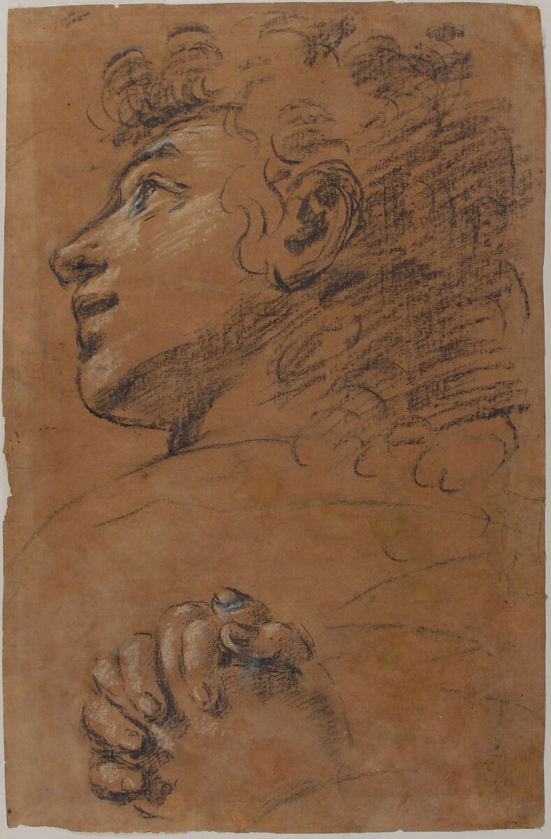 Profile Head of a Youth Looking to Upper Left, and Study of Clasped Hands, attributed to Giacomo Cavedone (Italian, Sassuolo 1577–1660 Bologna), Charcoal, highlighted with white, on brownish paper