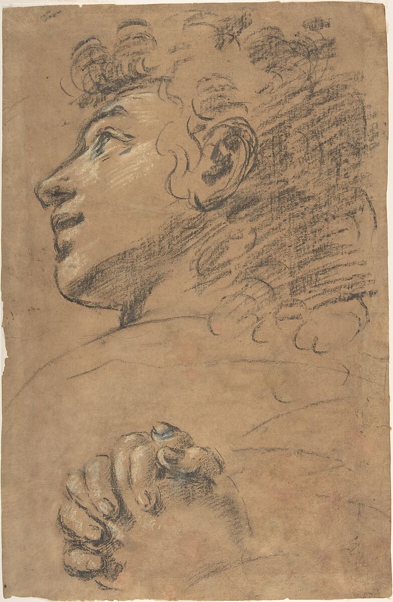 Profile Head of a Youth Looking to Upper Left, and Study of Clasped Hands, attributed to Giacomo Cavedone (Italian, Sassuolo 1577–1660 Bologna), Charcoal, highlighted with white, on brownish paper 
