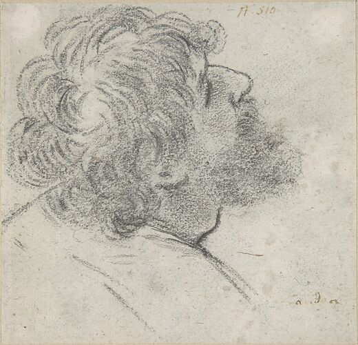 Head of a Bearded Man Looking to Upper Right (recto); Head of an Old Man and a Drapery Study (verso)