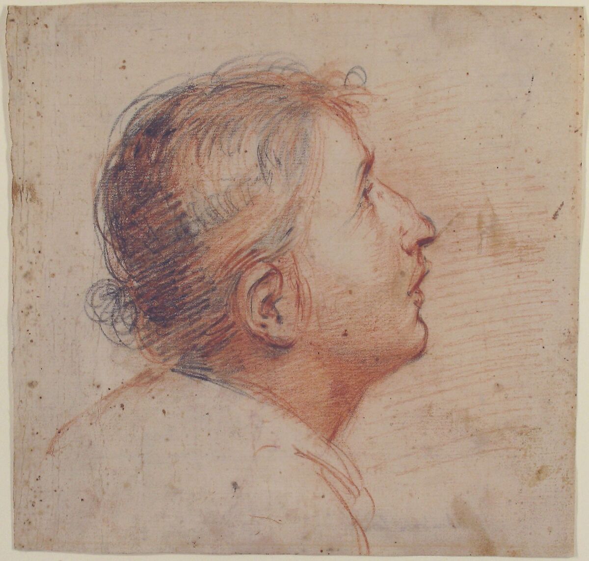 Youth Gazing Upwards in Profile, Francesco Montelatici ("Cecco Bravo") (Italian, Florence 1601–1661 Innsbruck), Red and black chalk