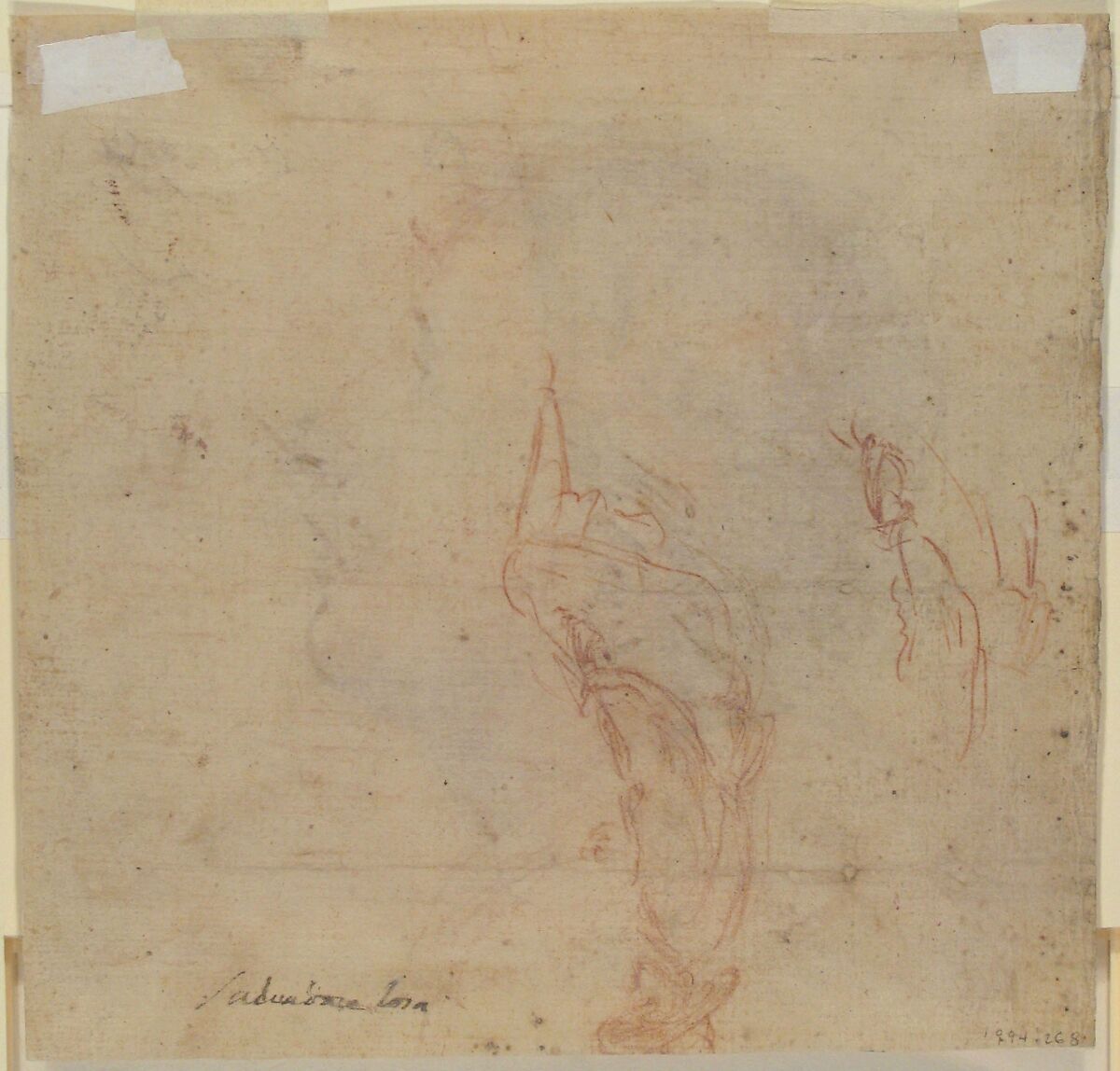 Youth Gazing Upwards in Profile, Francesco Montelatici ("Cecco Bravo") (Italian, Florence 1601–1661 Innsbruck), Red and black chalk