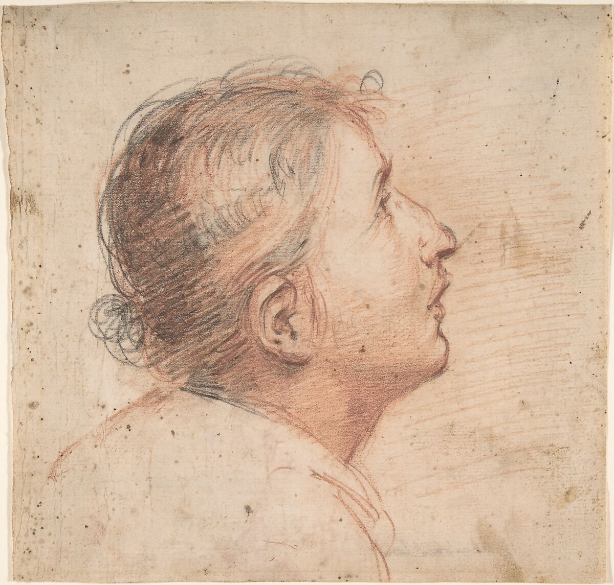 Youth Gazing Upwards in Profile, Francesco Montelatici ("Cecco Bravo") (Italian, Florence 1601–1661 Innsbruck), Red and black chalk 