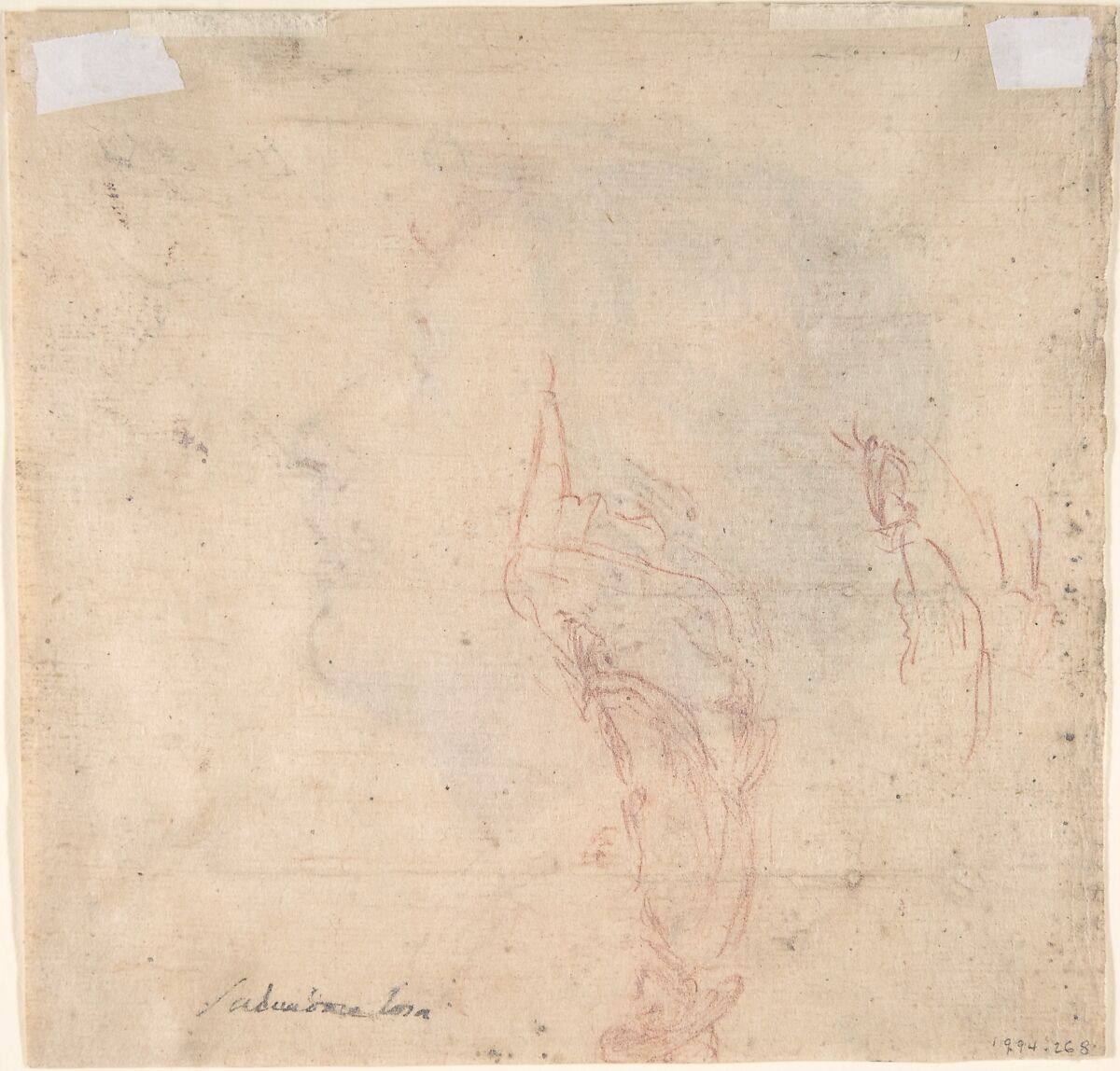 Youth Gazing Upwards in Profile, Francesco Montelatici ("Cecco Bravo") (Italian, Florence 1601–1661 Innsbruck), Red and black chalk