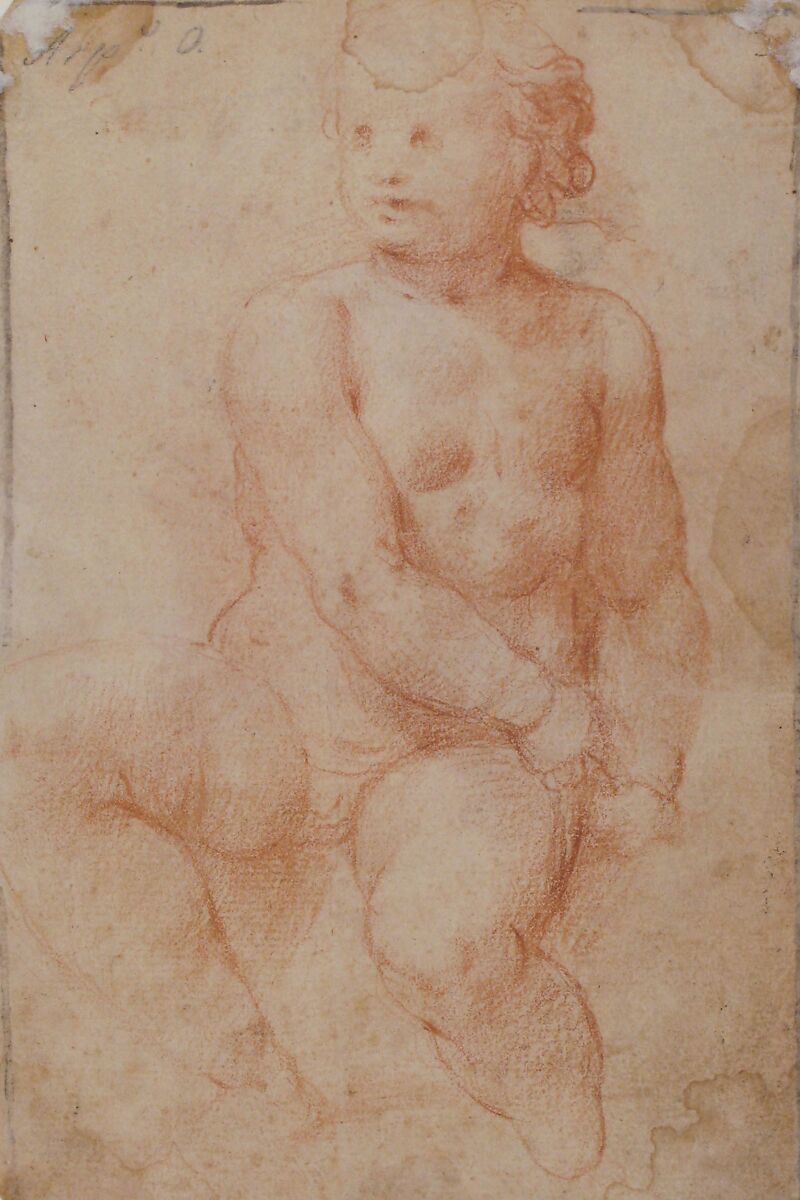 Study of a Seated Putto Looking at His Right (recto); A Woman's Head, Study after the Antique (verso), Anonymous Roman (?), Early 17th Century, Red chalk; framing lines in black chalk