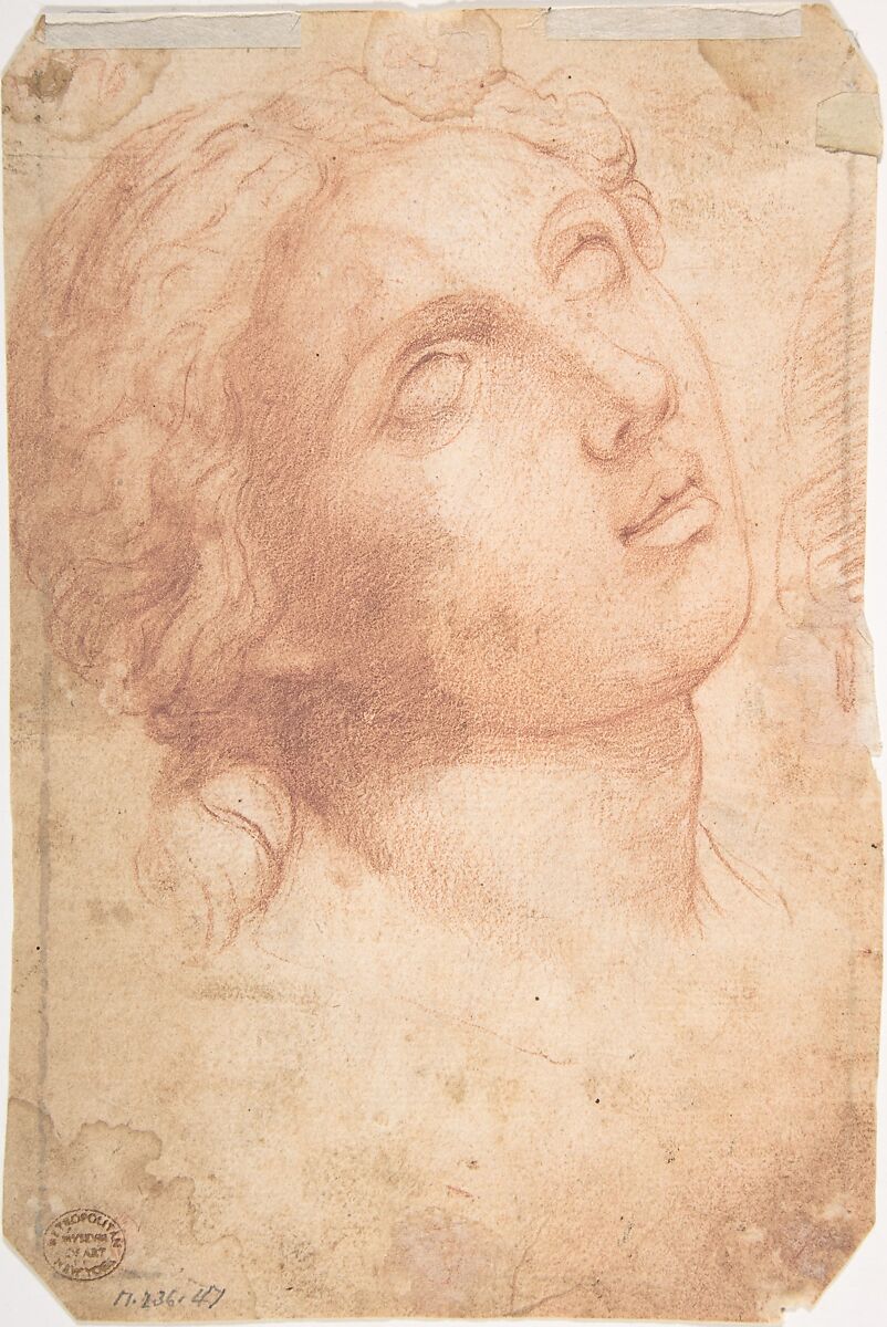 Study of a Seated Putto Looking at His Right (recto); A Woman's Head, Study after the Antique (verso), Anonymous Roman (?), Early 17th Century, Red chalk; framing lines in black chalk
