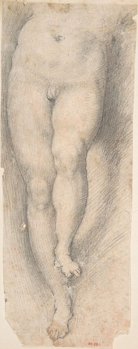 Study for Lower Part of Torso and Legs of a Young Boy, Pomarancio (Cristoforo Roncalli) (Italian, Pomarance ca. 1553–1626 Rome), Black chalk, traces of red chalk 