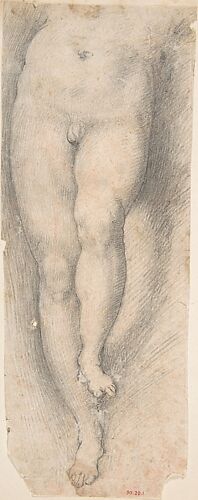 Study for Lower Part of Torso and Legs of a Young Boy