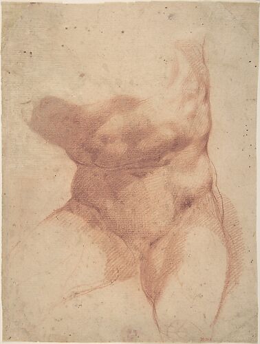 Study after the Belvedere Torso