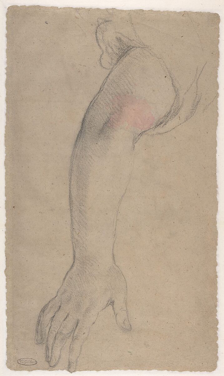 Head of Pope Urban VIII (Maffeo Vincenzo Barberini) (recto); An Outstretched Arm (verso), Attributed to Pietro Locatelli (Italian, Rome, 1634–1710), Black chalk, highlighted with white chalk, on light brown paper (recto); black chalk (verso)