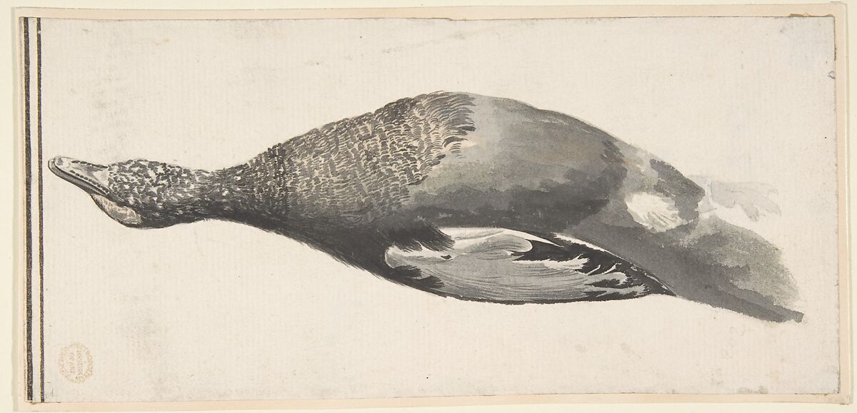 Dead Duck, Count Giorgio Durante (Duranti) (Italian, Palazzolo (?) 1685–1755 Palazzolo), Watercolor 