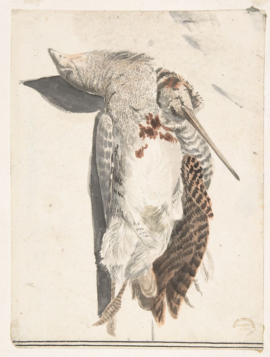 Two Dead Birds (A Quail and a Long-Beaked Bird), Count Giorgio Durante (Duranti) (Italian, Palazzolo (?) 1685–1755 Palazzolo), Brush with gray, black, brown, and light orange wash over graphite. Traces of framing lines in pen and black ink at left and right edges 