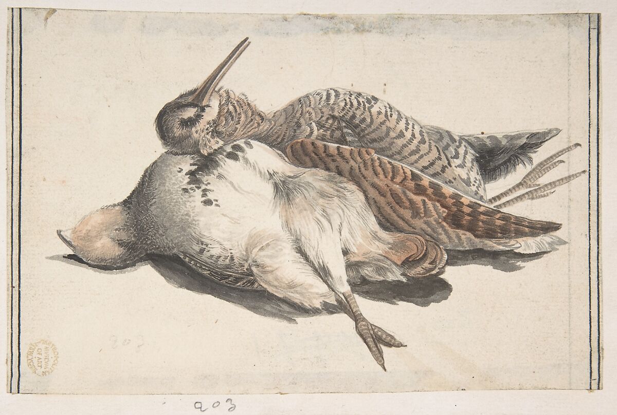 Dead Birds, Count Giorgio Durante (Duranti) (Italian, Palazzolo (?) 1685–1755 Palazzolo), Watercolor over graphite; traces of framing lines in pen and black ink at left and right edges 